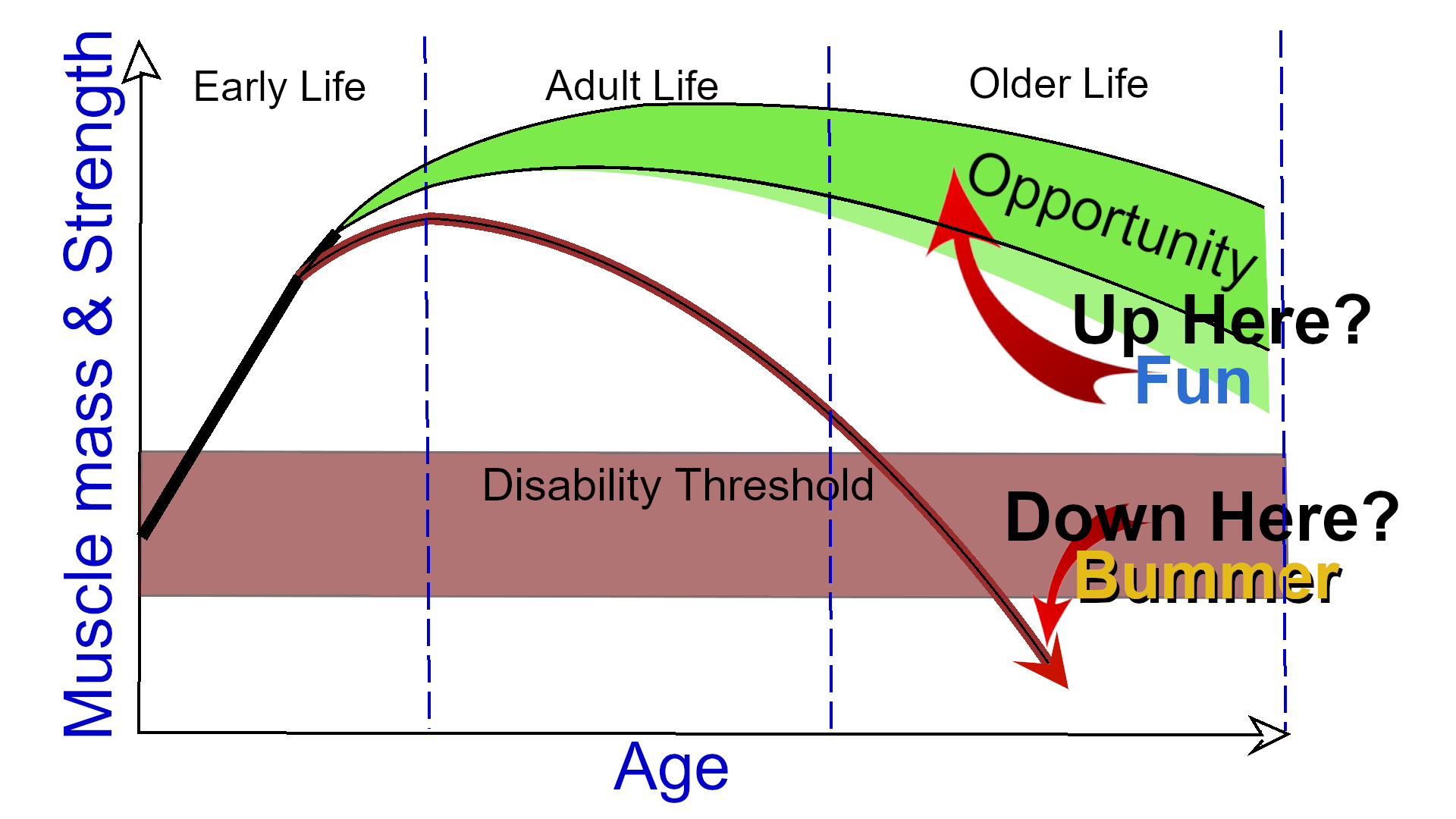 older age disability graph